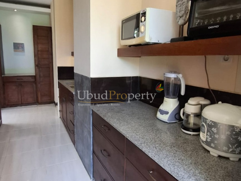 Ubud Property Villa For Sale in Ubud Bali