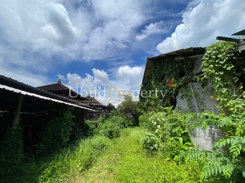 Ubud Property Land For Lease  in Ubud Bali