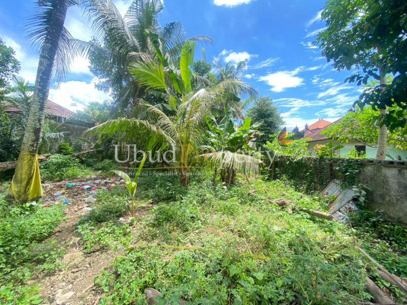 Ubud Property Land For Lease in Ubud Bali