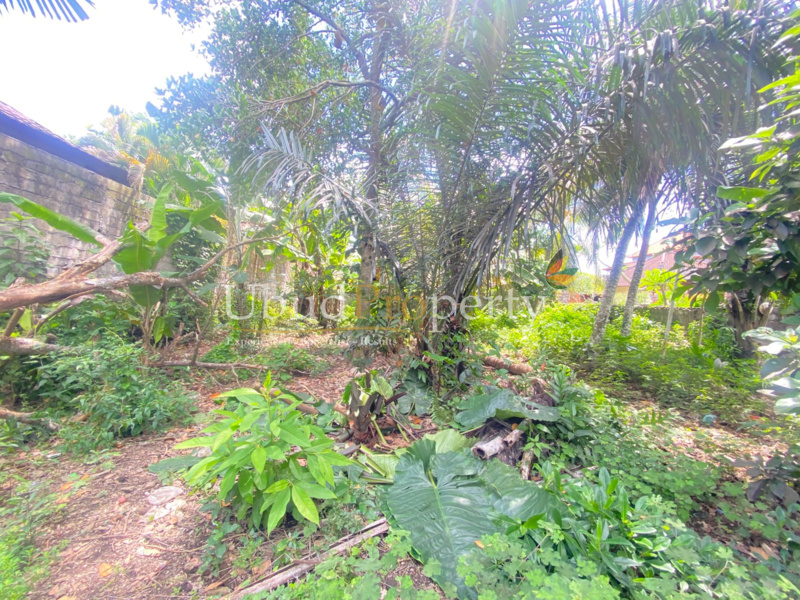 Ubud Property Land For Lease in Ubud Bali