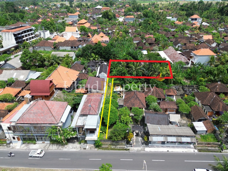 Ubud Property Land For Lease in Ubud Bali