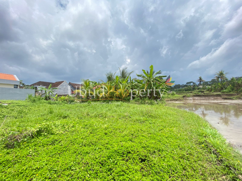 Ubud Property Land For Sale in Ubud Bali