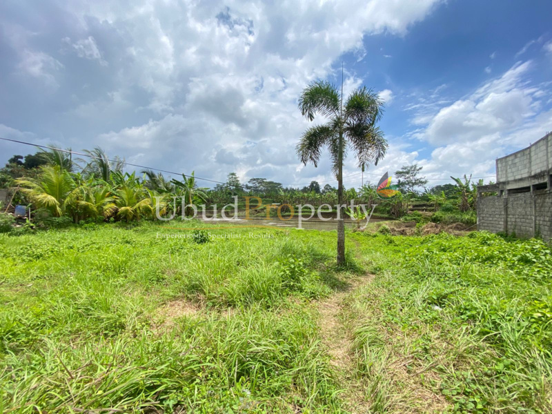 Ubud Property Land For Sale in Ubud Bali