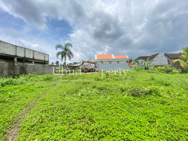 Ubud Property Land For Sale in Ubud Bali