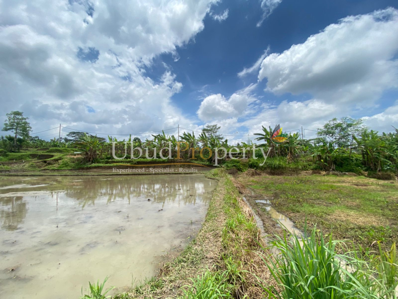 Ubud Property Land For Sale in Ubud Bali