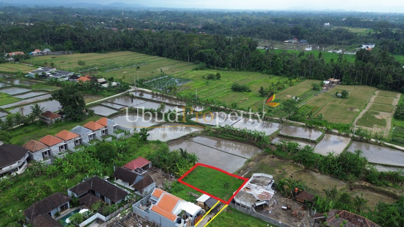 Ubud Property Land For Sale in Ubud Bali