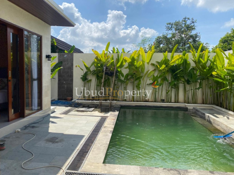 Ubud Property Villa For Sale in Ubud Bali
