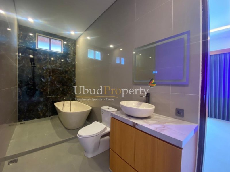 Ubud Property Villa For Sale in Ubud Bali