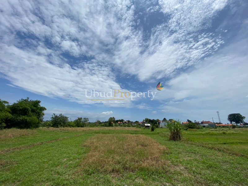 Ubud Property Villa For Sale in Ubud Bali