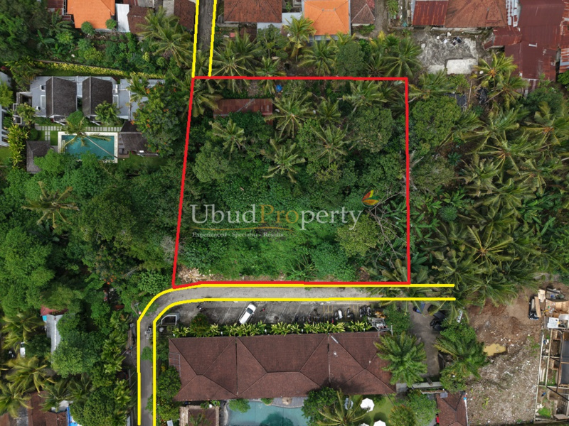 Land For Sale Leasehold in Ubud Bali