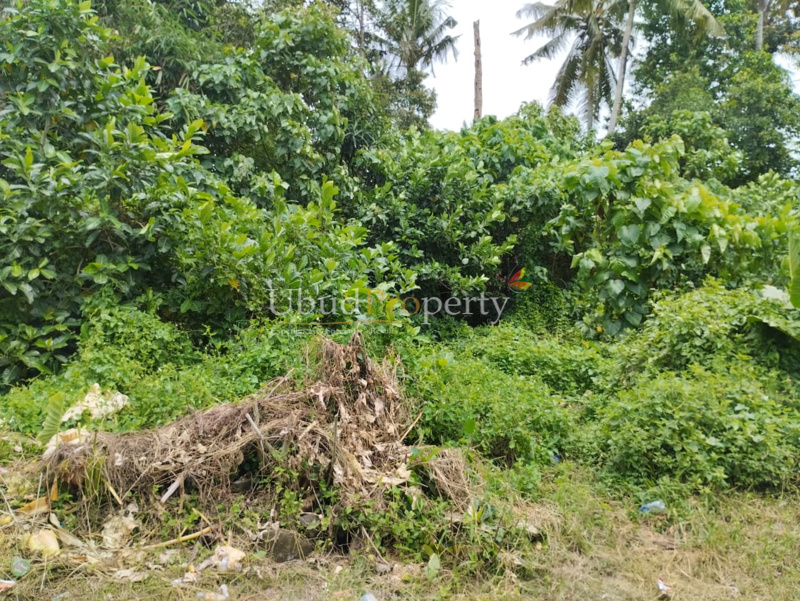 Ubud Property Land For Lease in Ubud Bali