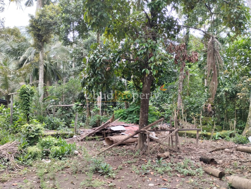 Ubud Property Land For Lease in Ubud Bali