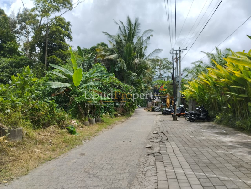 Ubud Property Land For Lease in Ubud Bali