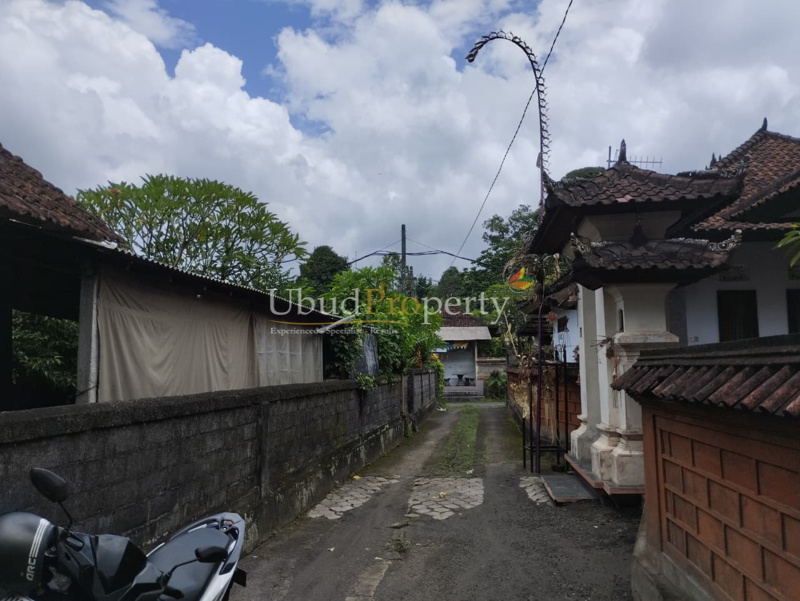 Ubud Property Land For Lease in Ubud Bali