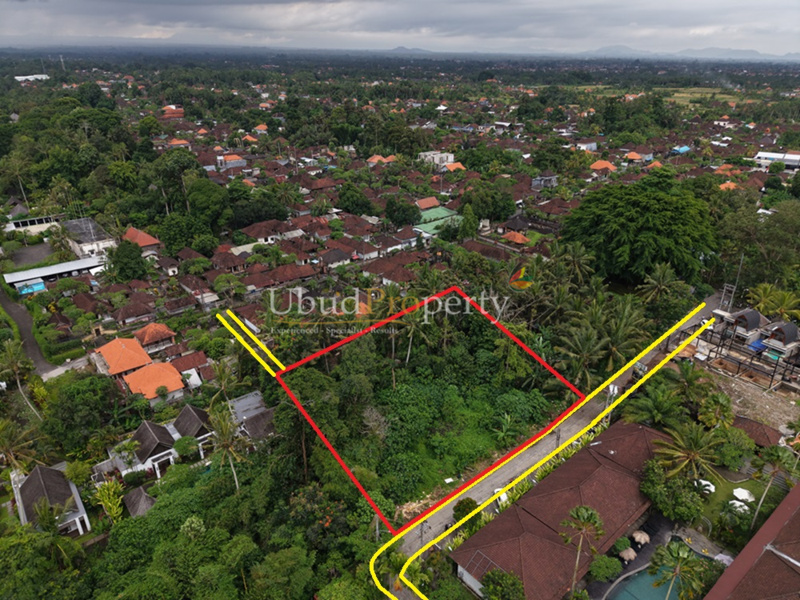 Ubud Property Land For Lease in Ubud Bali