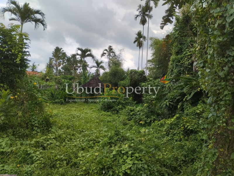 Ubud Property Land For Sale in Ubud Bali