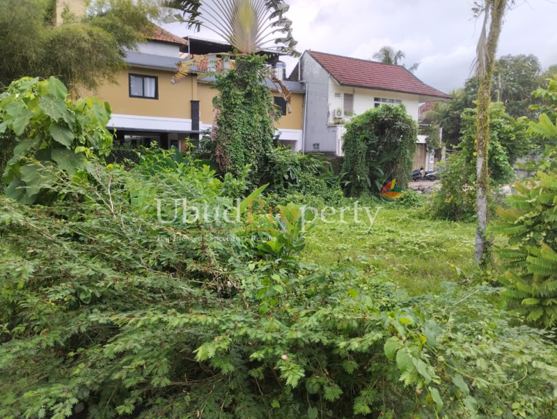 Ubud Property Land For Sale in Ubud Bali