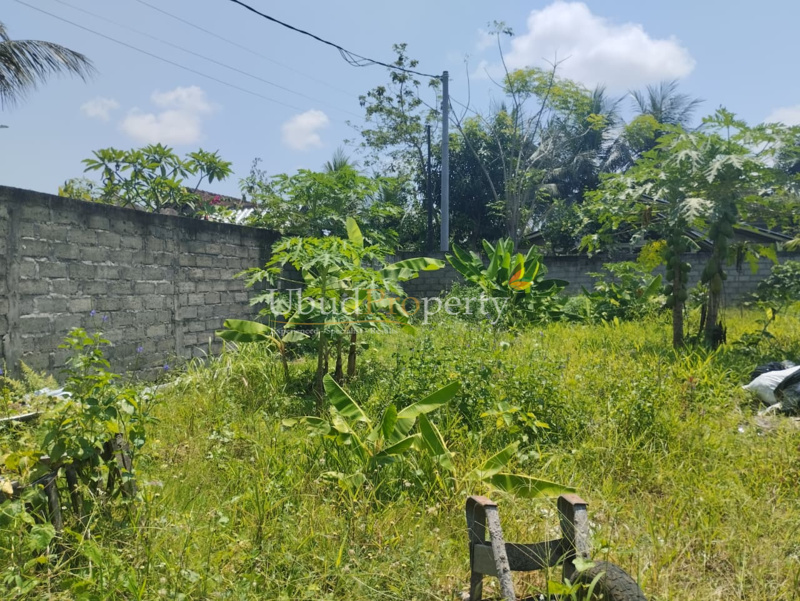 Ubud Property Land For Sale in Ubud Bali