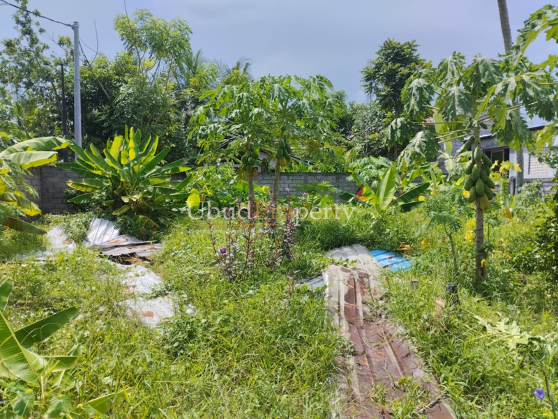 Ubud Property Land For Sale in Ubud Bali