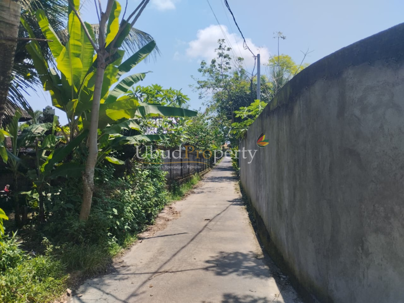 Ubud Property Land For Sale in Ubud Bali