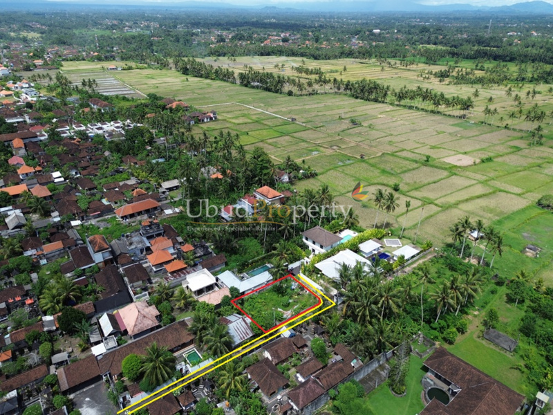 Ubud Property Land For Sale in Ubud Bali