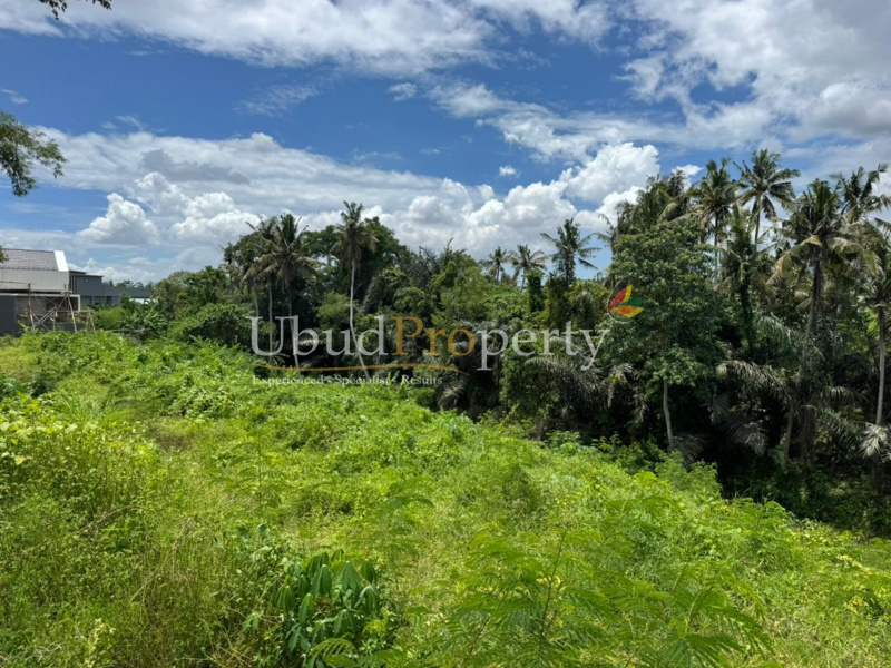 Ubud Property Land For Sale in Ubud Bali