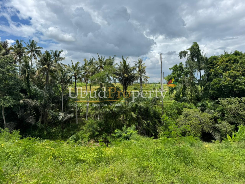 Ubud Property Land For Sale in Ubud Bali