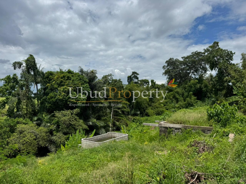 Ubud Property Land For Sale in Ubud Bali
