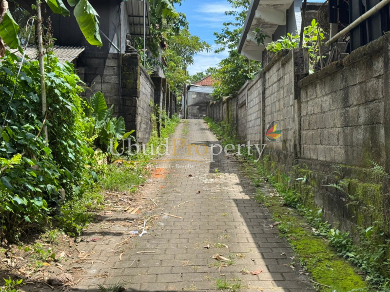 Ubud Property Land For Sale in Ubud Bali