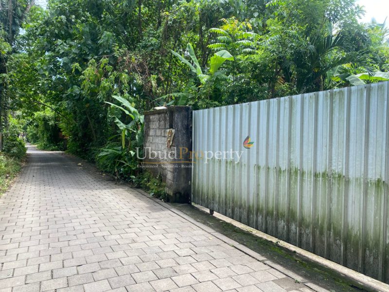 Ubud Property Land For Sale in Ubud Bali