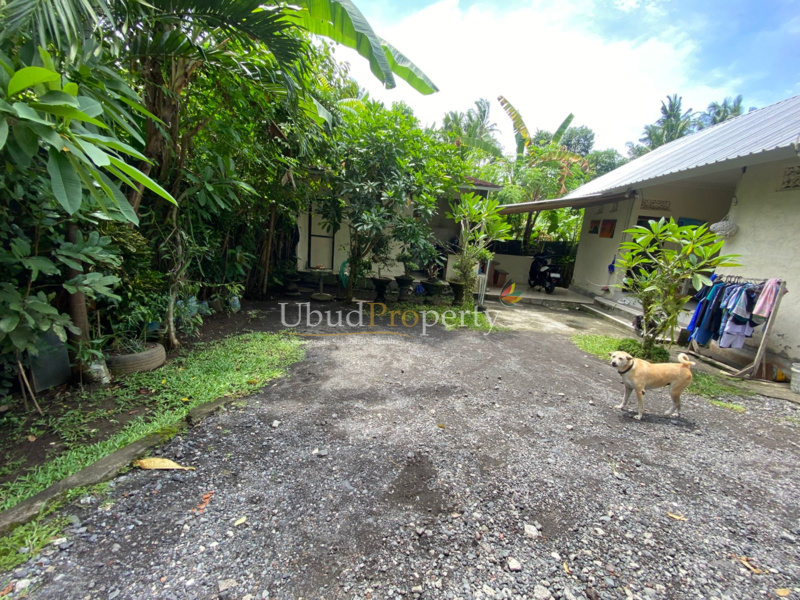 Ubud Property Land For Sale in Ubud Bali