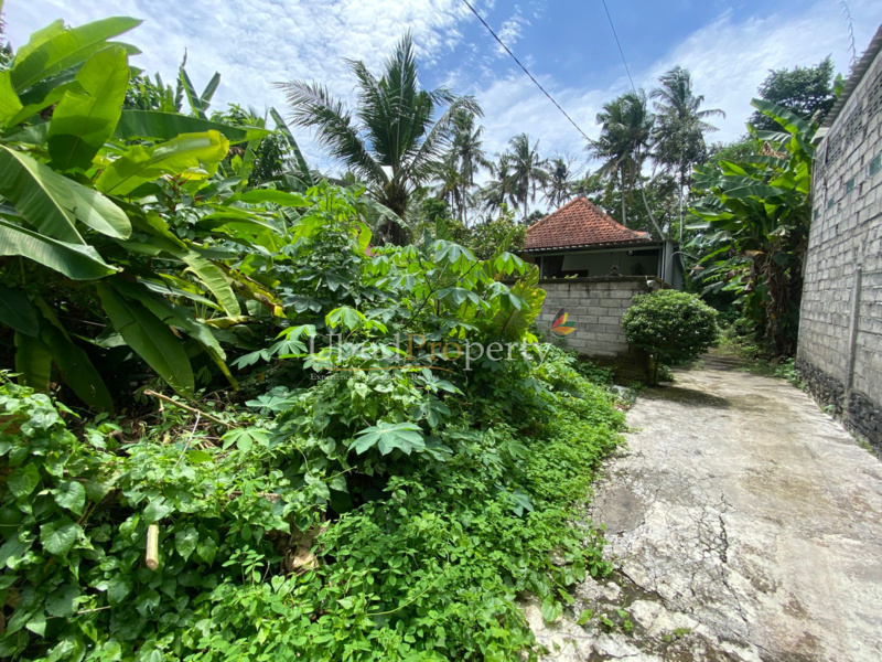 Ubud Property Land For Sale in Ubud Bali