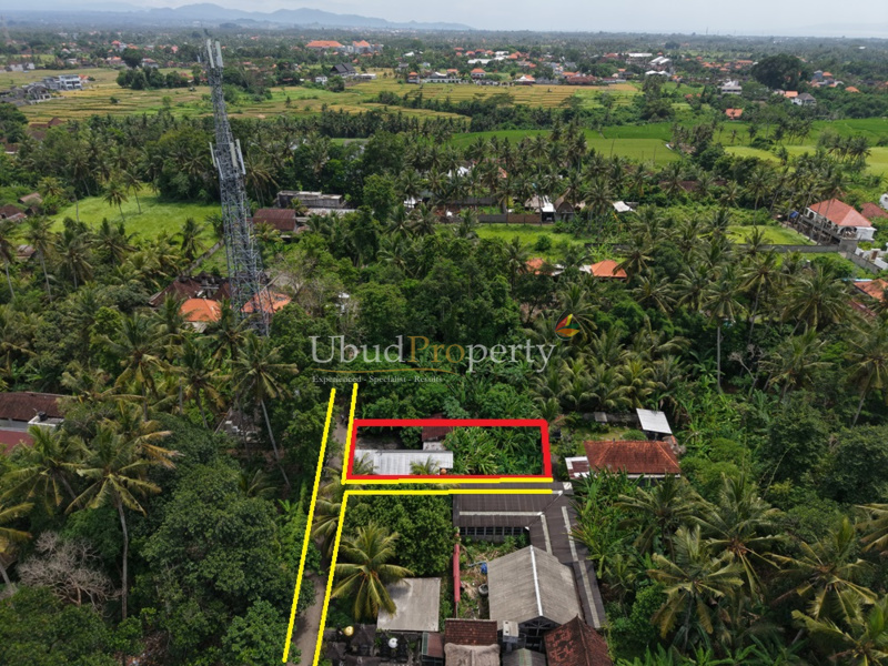 Ubud Property Land For Sale in Ubud Bali