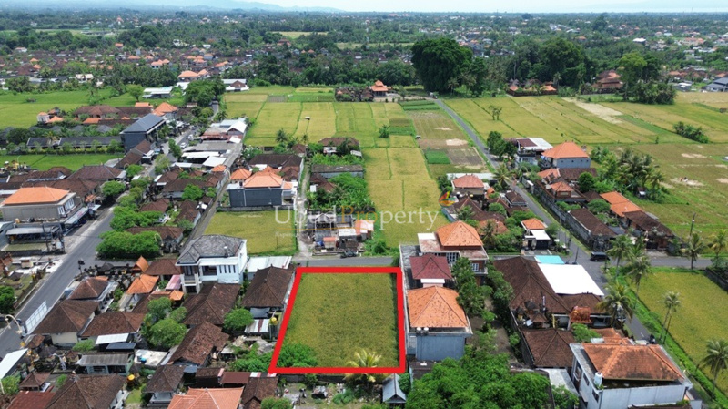 Land For Sale Freehold in Ubud Bali