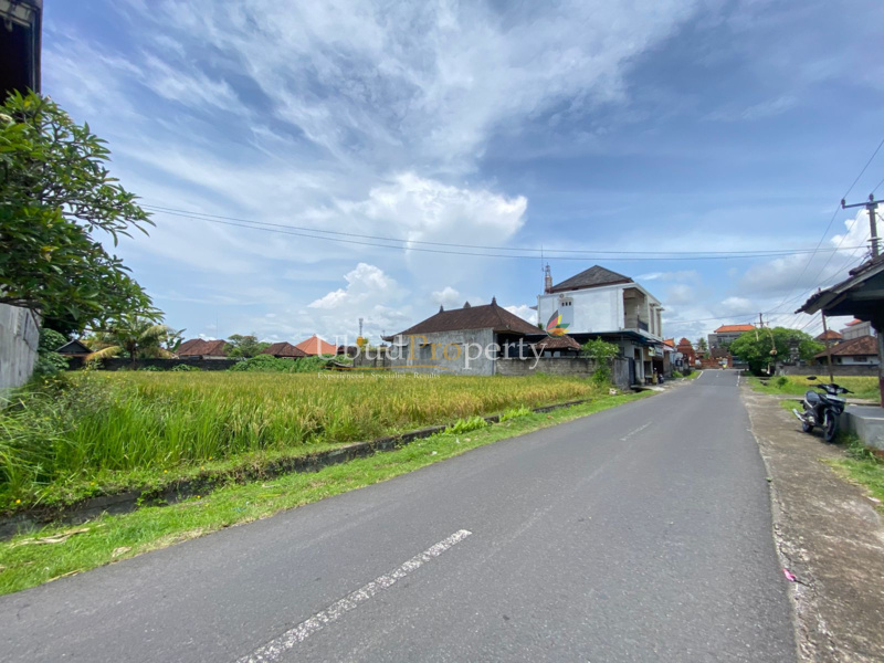 Ubud Property Land For Sale in Ubud Bali