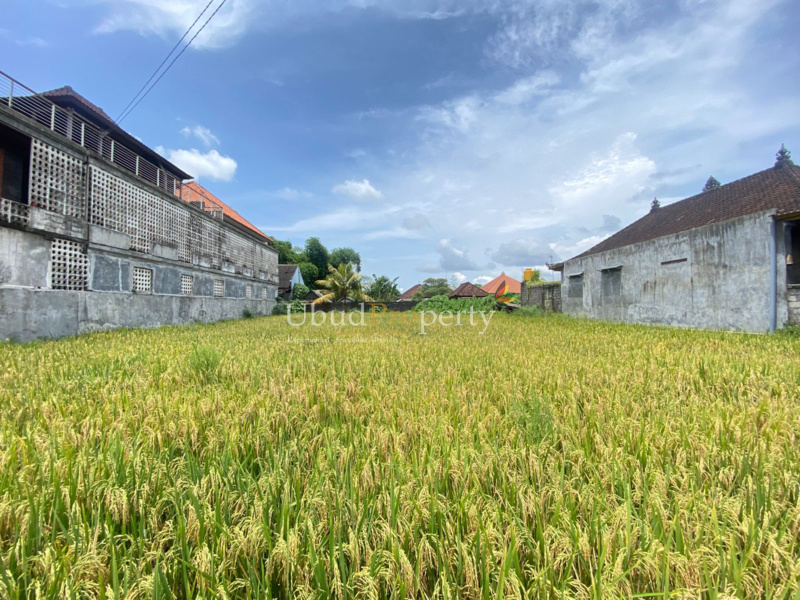 Ubud Property Land For Sale in Ubud Bali