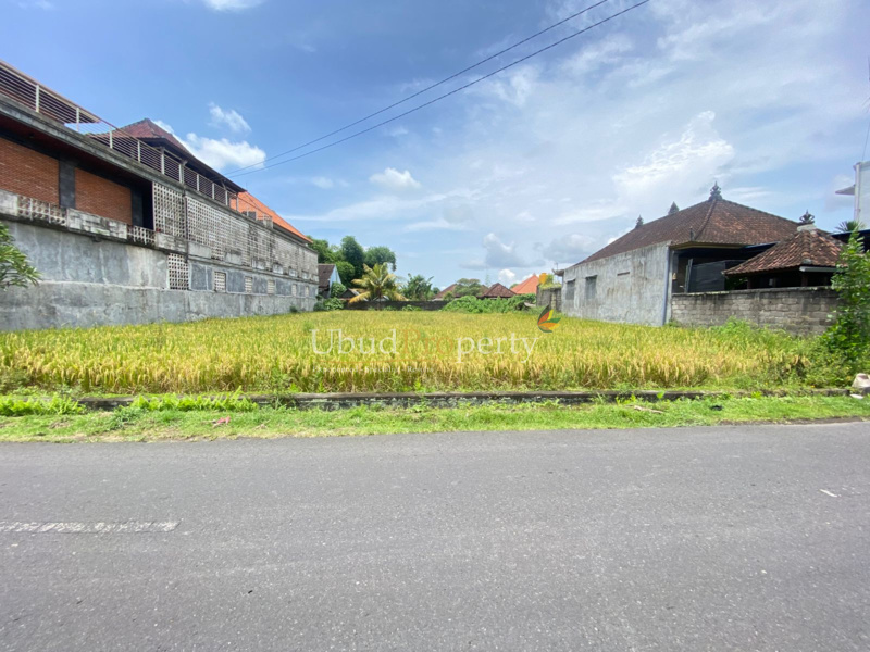 Ubud Property Land For Sale in Ubud Bali