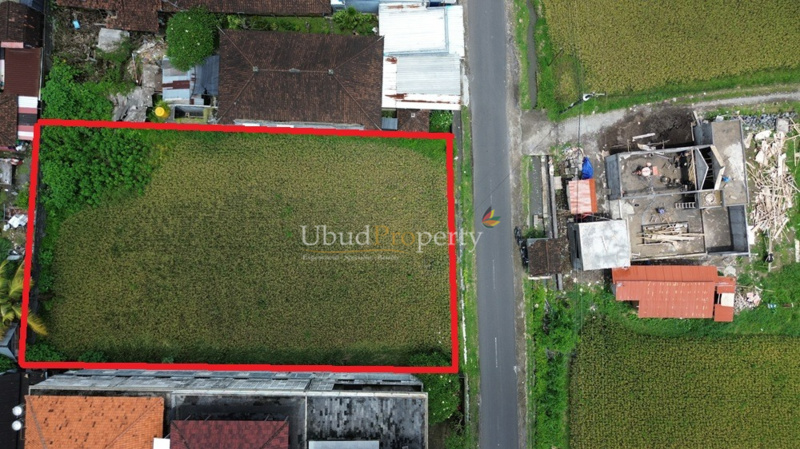Ubud Property Land For Sale in Ubud Bali