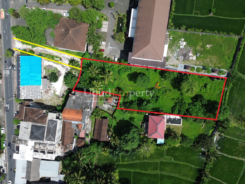 Land For Sale Leasehold in Ubud Bali