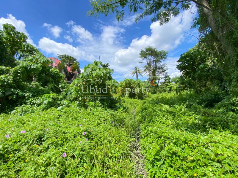 Ubud Property Land For Lease in Ubud Bali