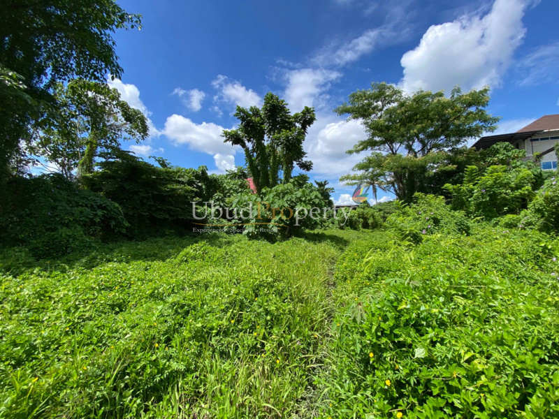 Ubud Property Land For Lease in Ubud Bali