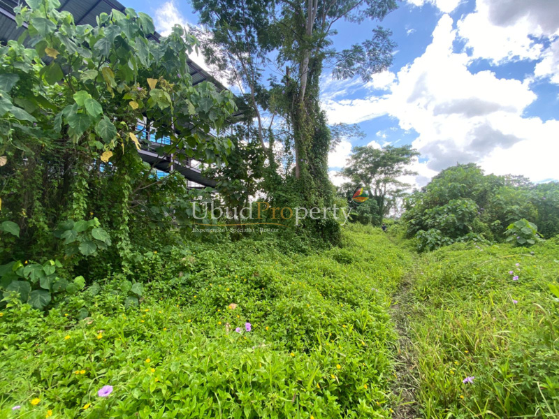Ubud Property Land For Lease in Ubud Bali
