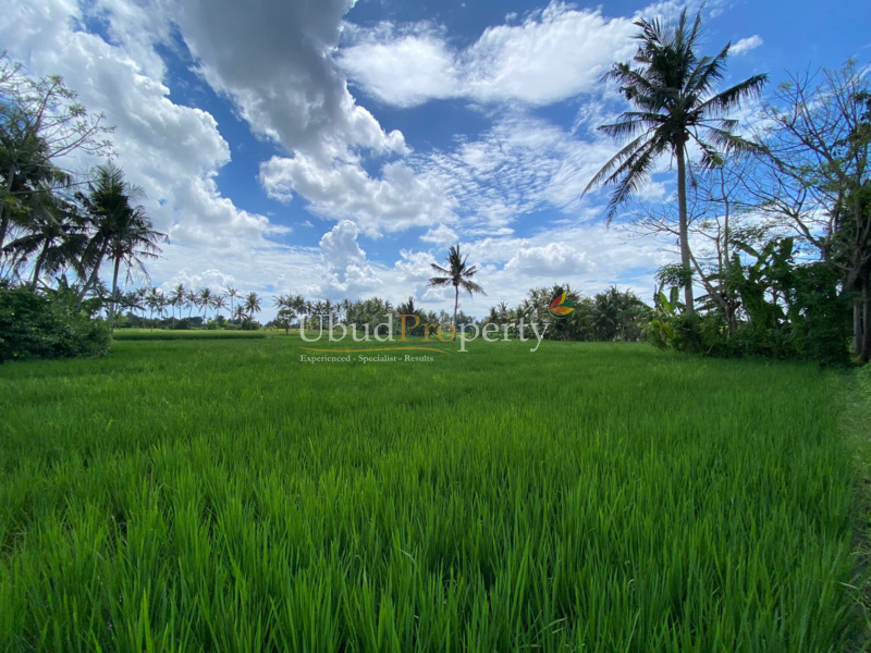 Ubud Property Land For Lease in Ubud Bali