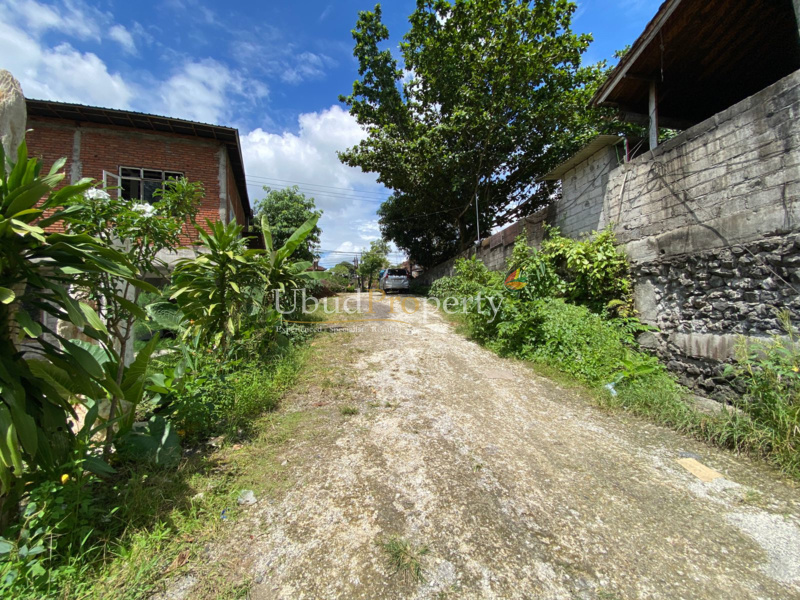 Ubud Property Land For Lease in Ubud Bali