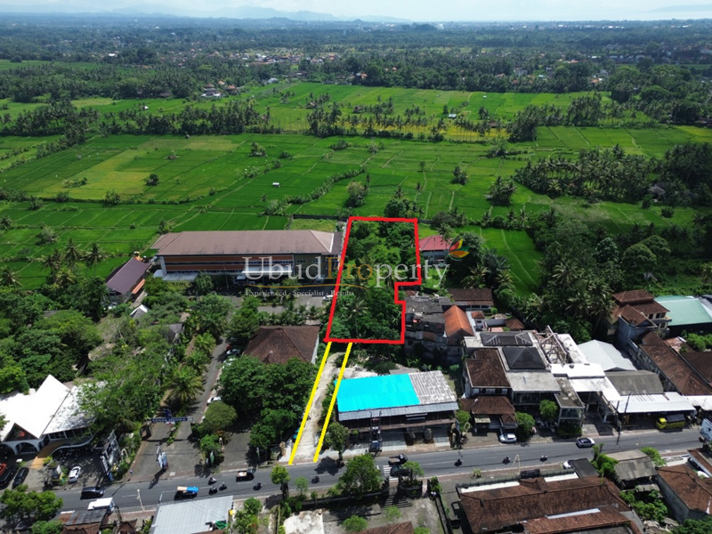 Ubud Property Land For Lease in Ubud Bali