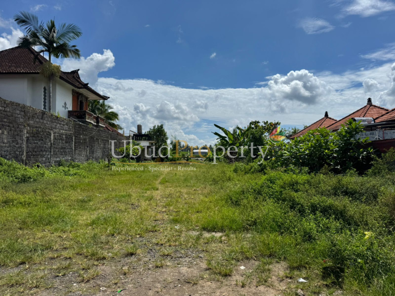 Ubud Property Land For Lease in Ubud Bali