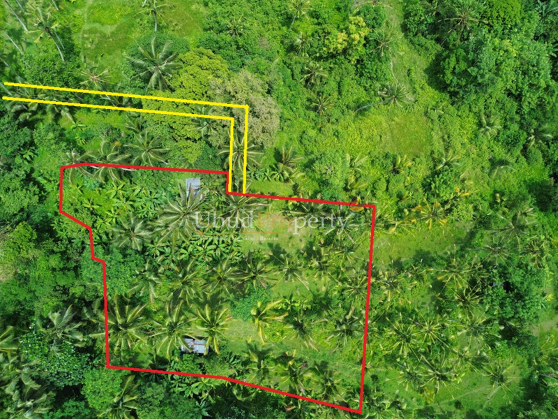 Land For Sale Leasehold in Ubud Bali