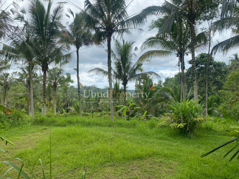 Ubud Property Land For Sale in Ubud Bali