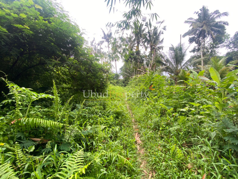 Ubud Property Land For Sale in Ubud Bali