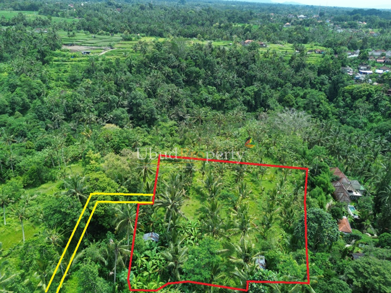 Ubud Property Land For Sale in Ubud Bali
